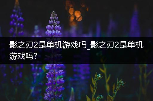 影之刃2是单机游戏吗_影之刃2是单机游戏吗?