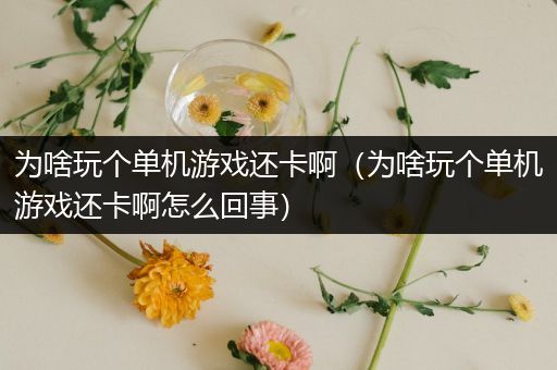 为啥玩个单机游戏还卡啊（为啥玩个单机游戏还卡啊怎么回事）
