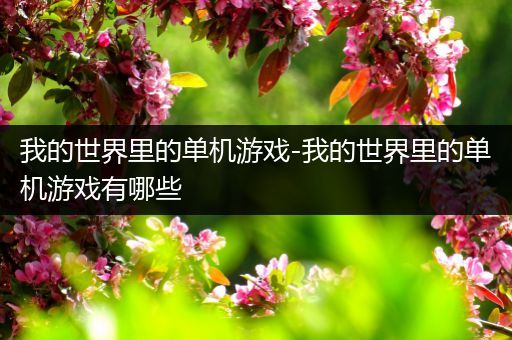 我的世界里的单机游戏-我的世界里的单机游戏有哪些