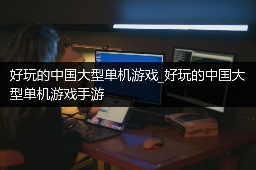好玩的中国大型单机游戏_好玩的中国大型单机游戏手游