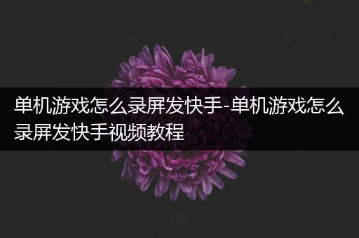 单机游戏怎么录屏发快手-单机游戏怎么录屏发快手视频教程