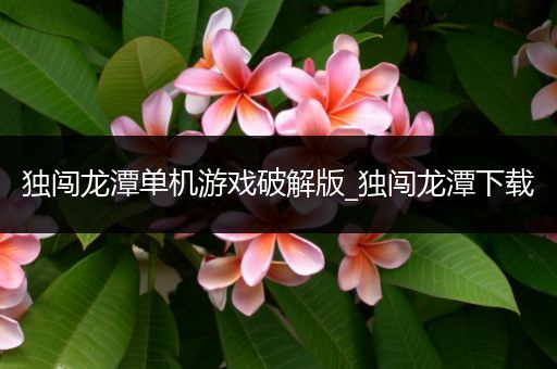 独闯龙潭单机游戏破解版_独闯龙潭下载