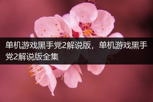 单机游戏黑手党2解说版，单机游戏黑手党2解说版全集