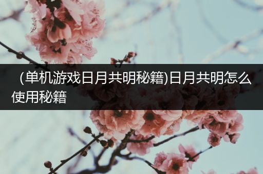 （单机游戏日月共明秘籍)日月共明怎么使用秘籍