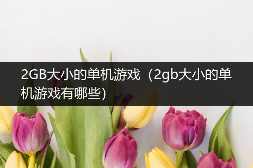 2GB大小的单机游戏（2gb大小的单机游戏有哪些）