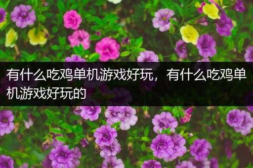 有什么吃鸡单机游戏好玩，有什么吃鸡单机游戏好玩的