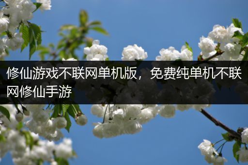 修仙游戏不联网单机版，免费纯单机不联网修仙手游