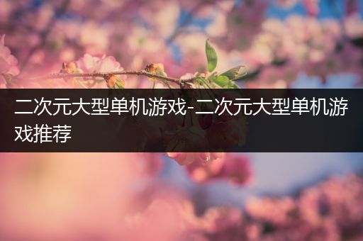二次元大型单机游戏-二次元大型单机游戏推荐
