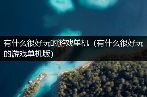有什么很好玩的游戏单机（有什么很好玩的游戏单机版）