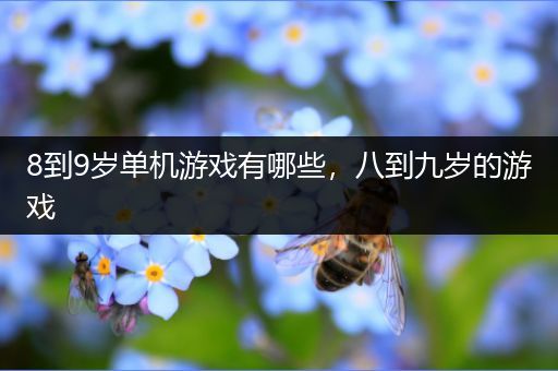 8到9岁单机游戏有哪些，八到九岁的游戏
