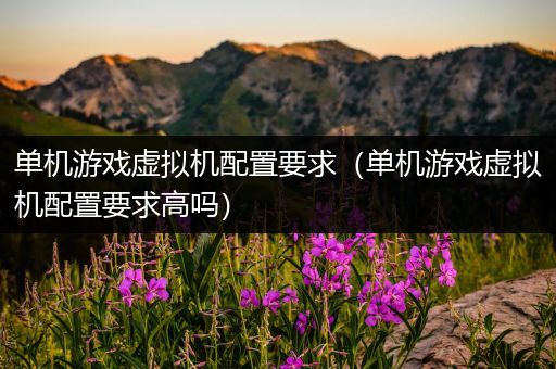 单机游戏虚拟机配置要求（单机游戏虚拟机配置要求高吗）