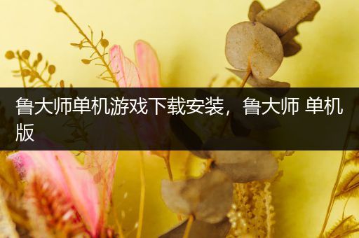 鲁大师单机游戏下载安装，鲁大师 单机版