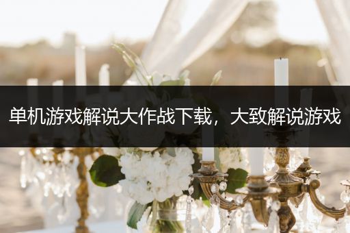 单机游戏解说大作战下载，大致解说游戏