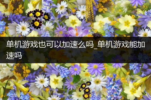 单机游戏也可以加速么吗_单机游戏能加速吗