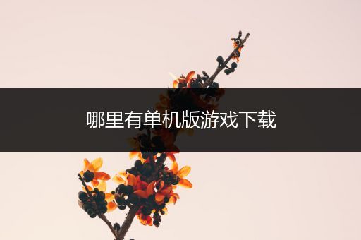 哪里有单机版游戏下载