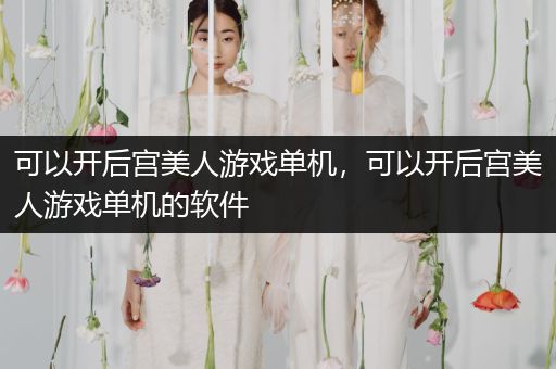 可以开后宫美人游戏单机，可以开后宫美人游戏单机的软件