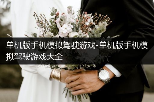 单机版手机模拟驾驶游戏-单机版手机模拟驾驶游戏大全