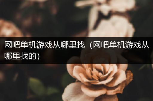网吧单机游戏从哪里找（网吧单机游戏从哪里找的）