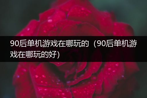 90后单机游戏在哪玩的（90后单机游戏在哪玩的好）
