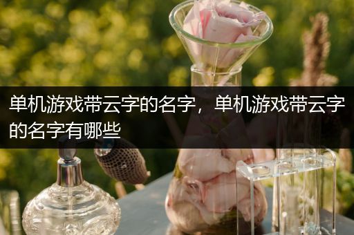 单机游戏带云字的名字，单机游戏带云字的名字有哪些