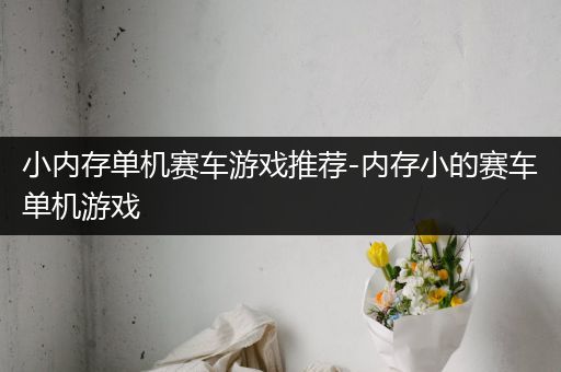 小内存单机赛车游戏推荐-内存小的赛车单机游戏