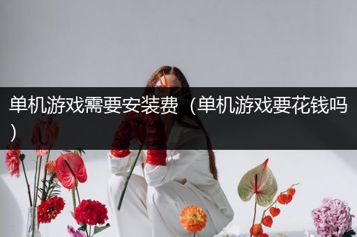 单机游戏需要安装费（单机游戏要花钱吗）