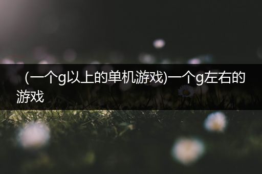 （一个g以上的单机游戏)一个g左右的游戏