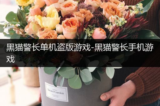 黑猫警长单机盗版游戏-黑猫警长手机游戏