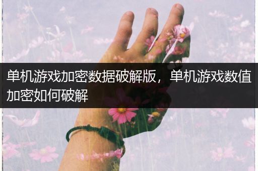 单机游戏加密数据破解版，单机游戏数值加密如何破解