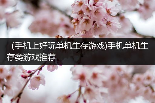 （手机上好玩单机生存游戏)手机单机生存类游戏推荐