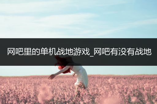 网吧里的单机战地游戏_网吧有没有战地