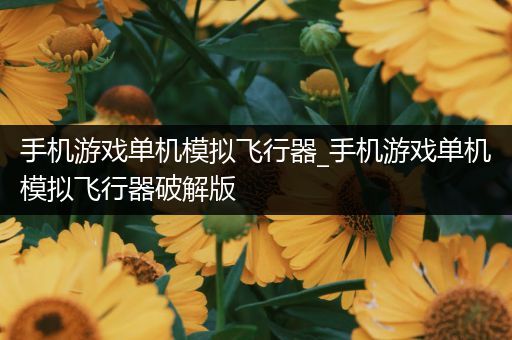 手机游戏单机模拟飞行器_手机游戏单机模拟飞行器破解版