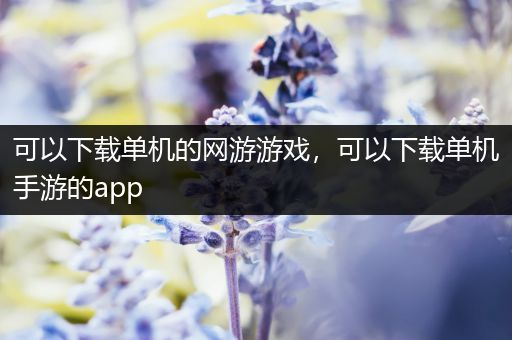 可以下载单机的网游游戏，可以下载单机手游的app