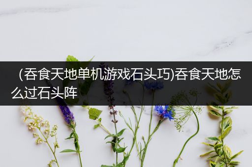 （吞食天地单机游戏石头巧)吞食天地怎么过石头阵