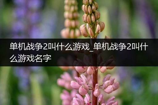单机战争2叫什么游戏_单机战争2叫什么游戏名字