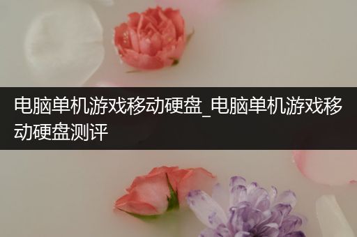 电脑单机游戏移动硬盘_电脑单机游戏移动硬盘测评