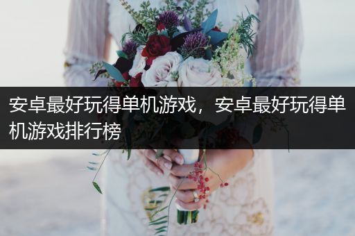 安卓最好玩得单机游戏，安卓最好玩得单机游戏排行榜