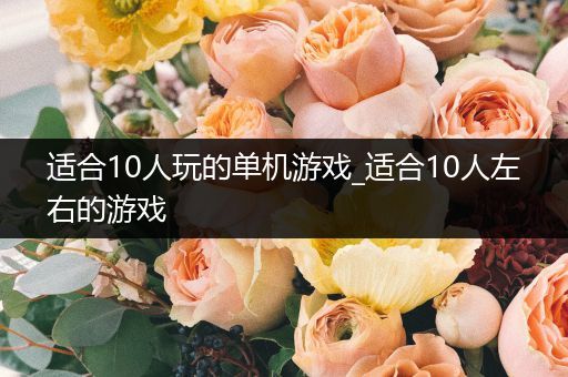 适合10人玩的单机游戏_适合10人左右的游戏