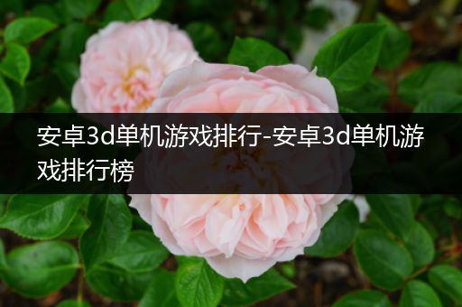 安卓3d单机游戏排行-安卓3d单机游戏排行榜