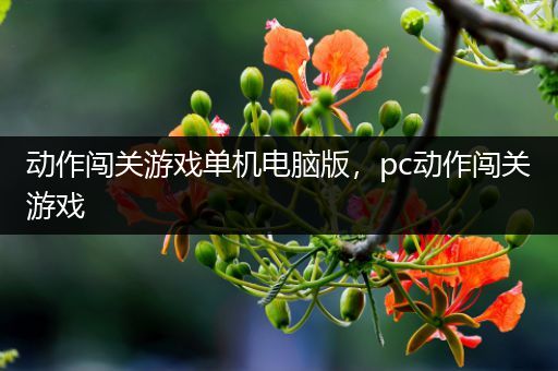 动作闯关游戏单机电脑版，pc动作闯关游戏