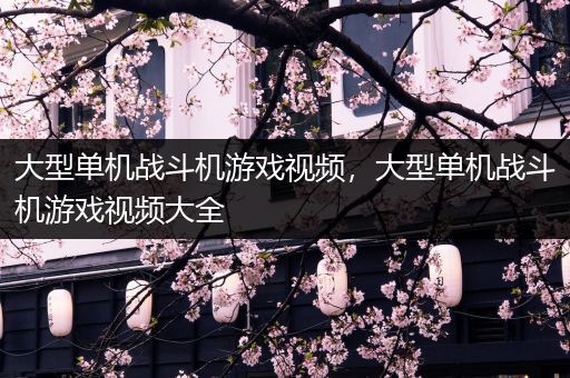 大型单机战斗机游戏视频，大型单机战斗机游戏视频大全