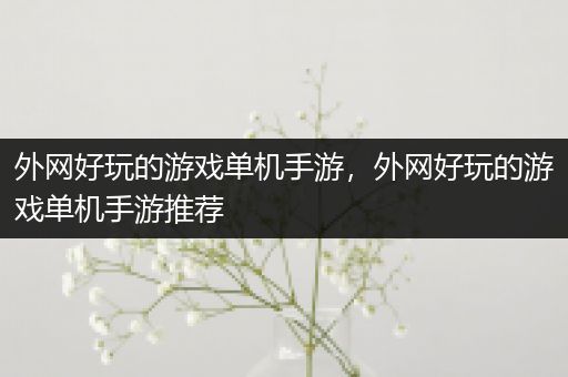 外网好玩的游戏单机手游，外网好玩的游戏单机手游推荐