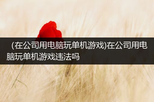 （在公司用电脑玩单机游戏)在公司用电脑玩单机游戏违法吗