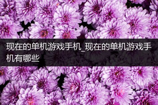 现在的单机游戏手机_现在的单机游戏手机有哪些