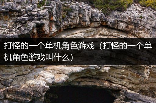 打怪的一个单机角色游戏（打怪的一个单机角色游戏叫什么）