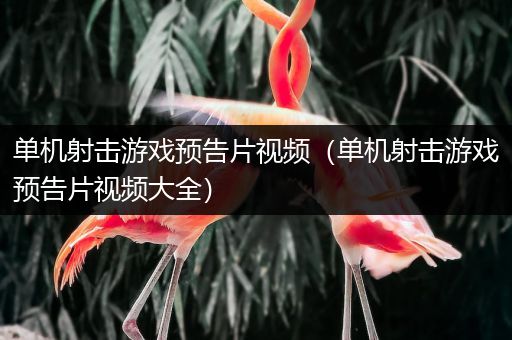 单机射击游戏预告片视频（单机射击游戏预告片视频大全）