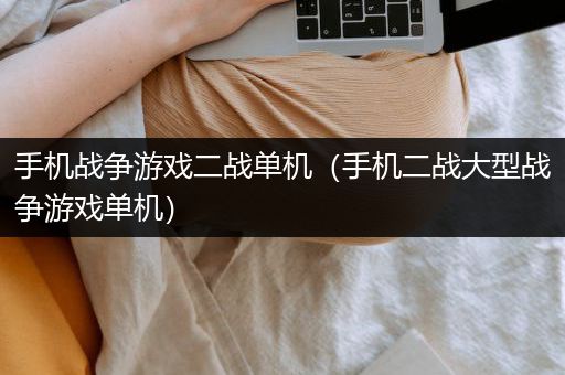 手机战争游戏二战单机（手机二战大型战争游戏单机）