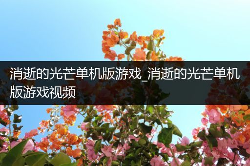 消逝的光芒单机版游戏_消逝的光芒单机版游戏视频