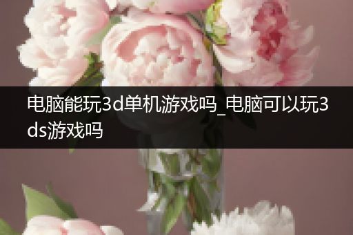 电脑能玩3d单机游戏吗_电脑可以玩3ds游戏吗
