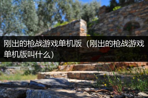 刚出的枪战游戏单机版（刚出的枪战游戏单机版叫什么）